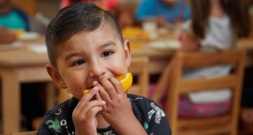 Child Care Food Program